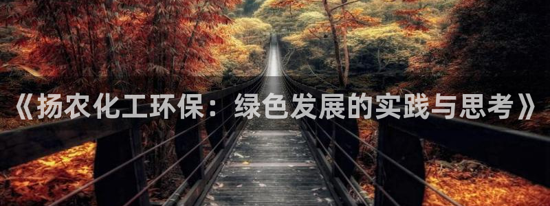 亿万网络科技有限公司ceo：《扬农化工环保：绿色发展的实践与思考》