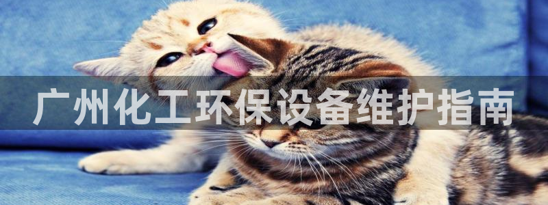 亿万先生合并网址是多少：广州化工环保设备维护指南