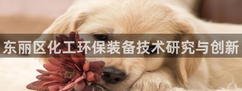 亿万先生 手机版下载：东丽区化工环保装备技术研究与创新