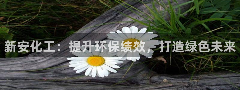 亿万剧情简介：新安化工：提升环保绩效，打造绿色未来