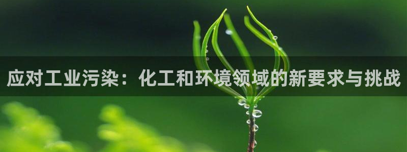 亿万网友在线实时为你解答：应对工业污染：化工和环境领域的新要求与挑战