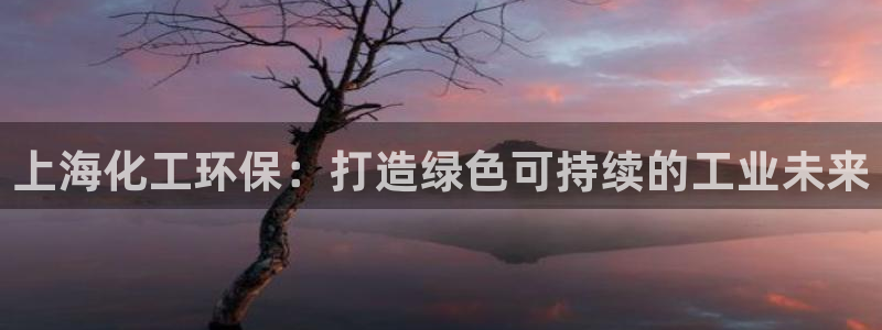 亿万先生客户端官网下载：上海化工环保：打造绿色可持续的工业未来
