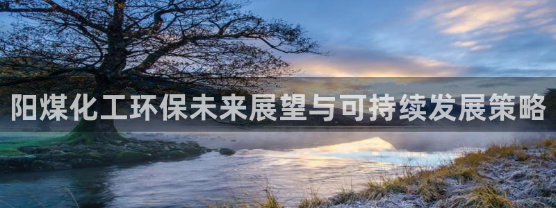 亿万先生合并网址是多少：阳煤化工环保未来展望与可持续发展策略