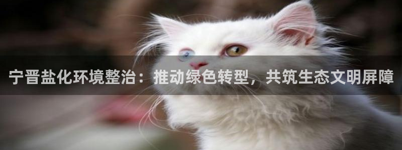 亿万先生mr网址：宁晋盐化环境整治：推动绿色转型，共筑生态文明屏障