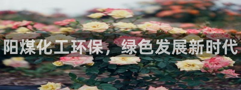 亿万先生007网页登录不了：阳煤化工环保，绿色发展新时代