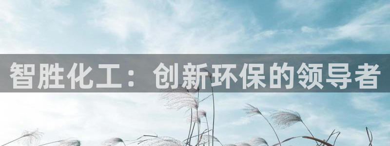 亿万城市手游：智胜化工：创新环保的领导者