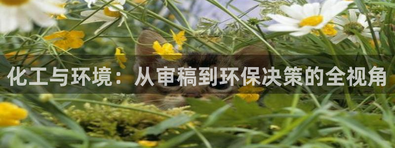 亿万先生007网页登录：化工与环境：从审稿到环保决策的全视角