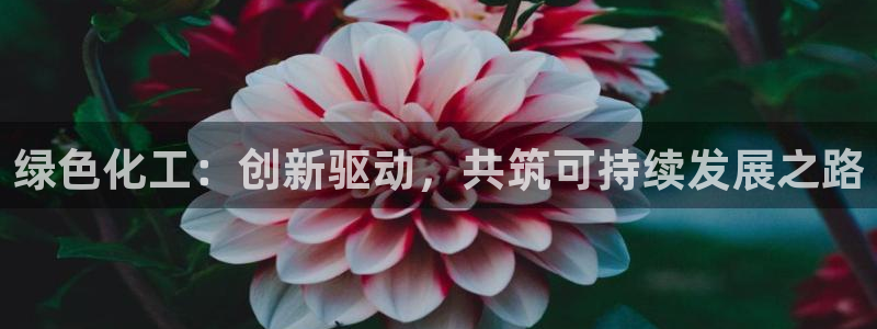 亿万先生mr：绿色化工：创新驱动，共筑可持续发展之路