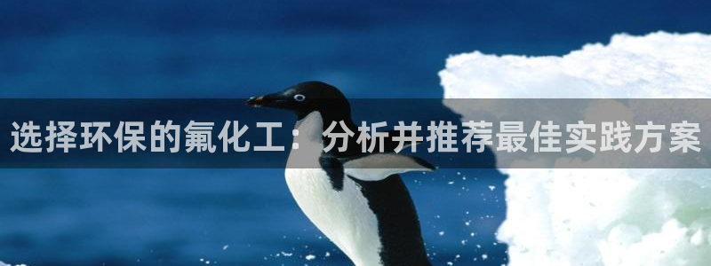 亿万先生官方网站：选择环保的氟化工：分析并推荐最佳实践方案