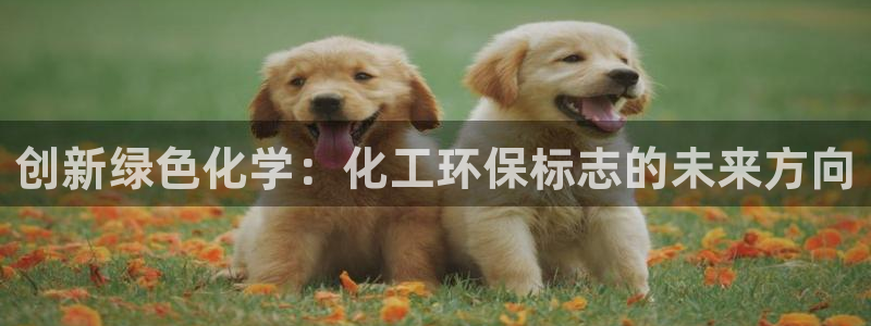 亿万先生官方网站客户端下载安装：创新绿色化学：化工环保标志的未来方向