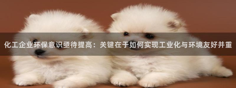 亿万首富手游兑换码：化工企业环保意识亟待提高：关键在于如何实现工业化与环境友好并重