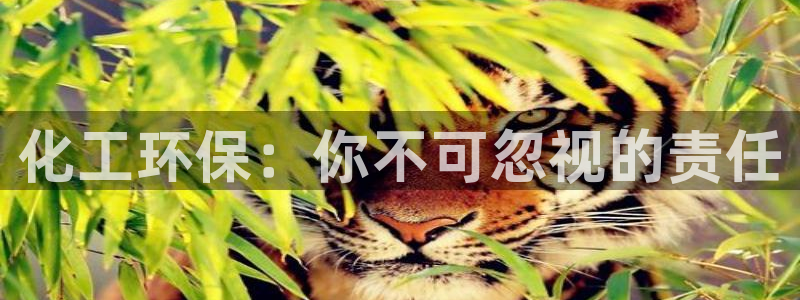 亿万网友在线解答：化工环保：你不可忽视的责任