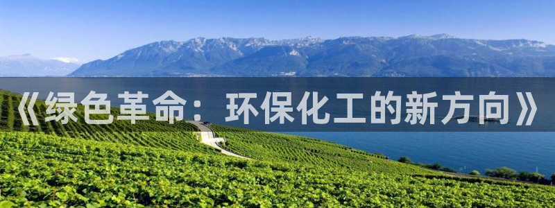 亿万先生情侣车有什么用：《绿色革命：环保化工的新方向》