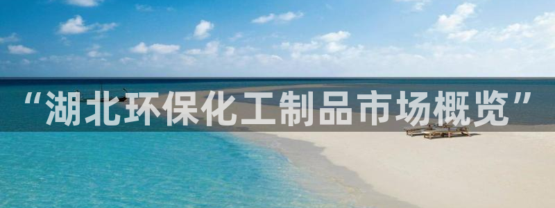 电影亿万：“湖北环保化工制品市场概览”