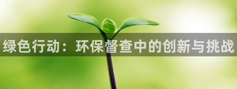 亿万先生mr：绿色行动：环保督查中的创新与挑战