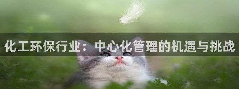 亿万笞人：化工环保行业：中心化管理的机遇与挑战