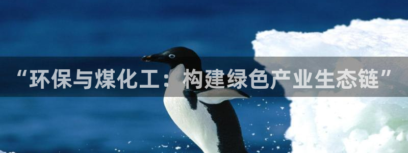 亿万手游平台官网入口：“环保与煤化工：构建绿色产业生态链”