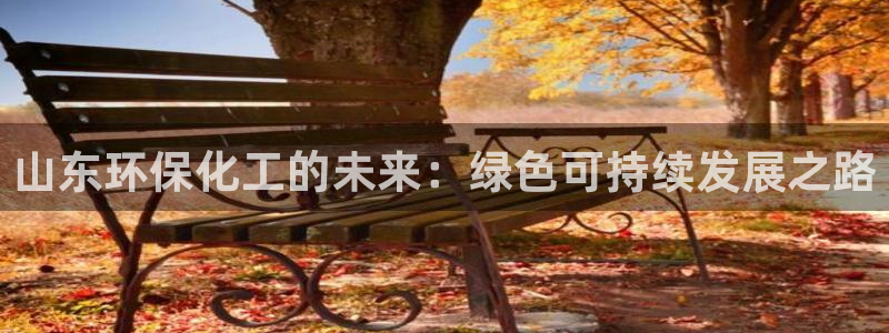 亿万城市手游：山东环保化工的未来：绿色可持续发展之路