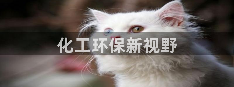 官方网站下载亿万人生：化工环保新视野