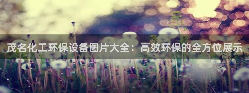 亿万第一季百科：茂名化工环保设备图片大全：高效环保的全方位展示